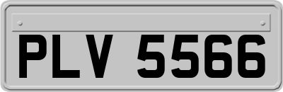 PLV5566