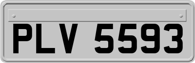 PLV5593