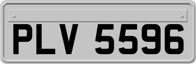 PLV5596