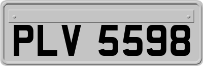 PLV5598