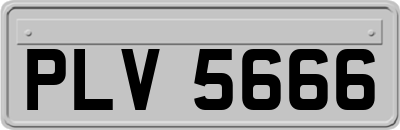 PLV5666