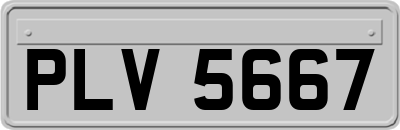 PLV5667