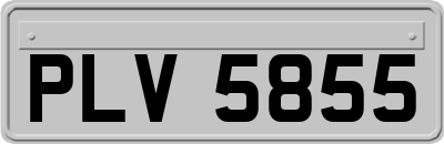 PLV5855