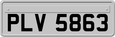 PLV5863