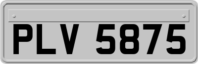 PLV5875