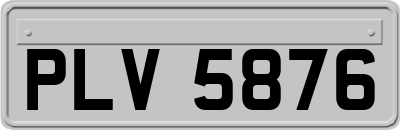 PLV5876