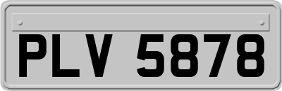 PLV5878