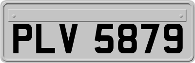 PLV5879