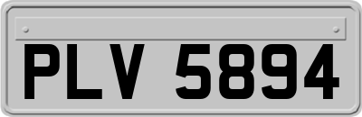 PLV5894