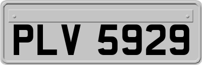 PLV5929