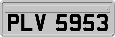 PLV5953