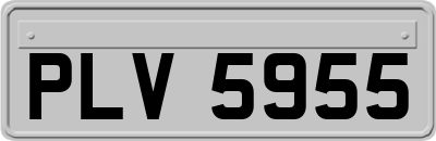 PLV5955