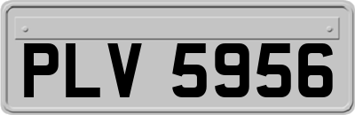 PLV5956