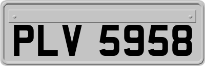 PLV5958