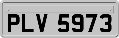 PLV5973