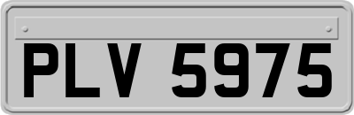 PLV5975