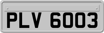 PLV6003