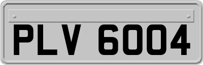 PLV6004