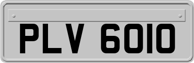 PLV6010