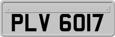 PLV6017