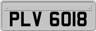 PLV6018