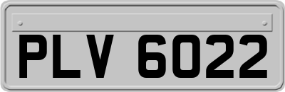 PLV6022