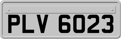 PLV6023