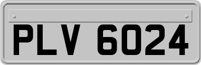 PLV6024