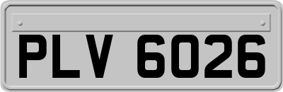 PLV6026