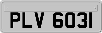 PLV6031