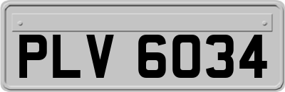 PLV6034