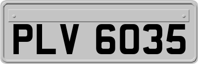 PLV6035