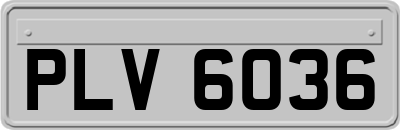 PLV6036