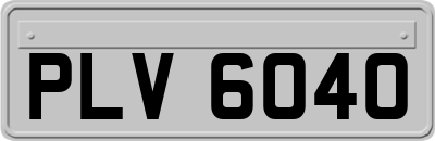 PLV6040