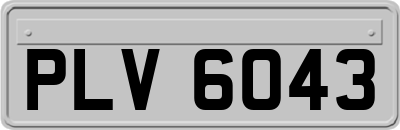 PLV6043