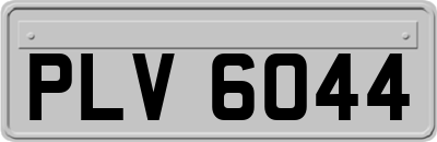 PLV6044