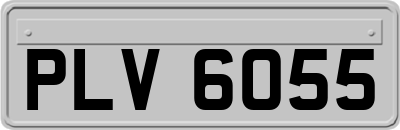 PLV6055