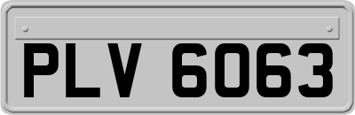 PLV6063