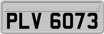 PLV6073