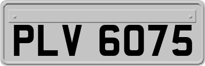 PLV6075