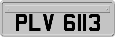 PLV6113