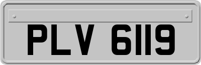 PLV6119