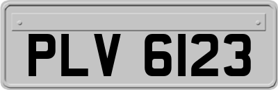 PLV6123