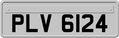 PLV6124