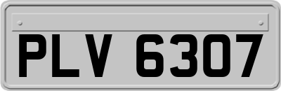 PLV6307