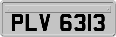 PLV6313