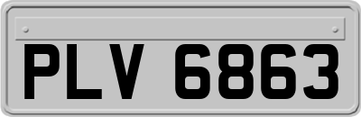 PLV6863