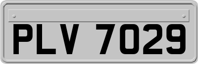 PLV7029