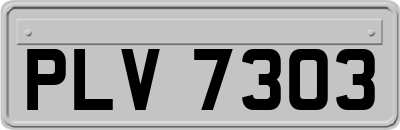 PLV7303