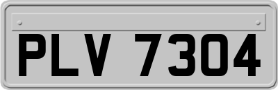 PLV7304